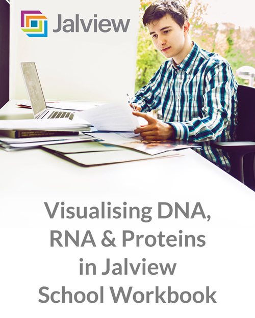 A Secondary School Bioinformatics Workbook for Visualizing DNA, RNA and Proteins by Suzanne Duce, University of Dundee