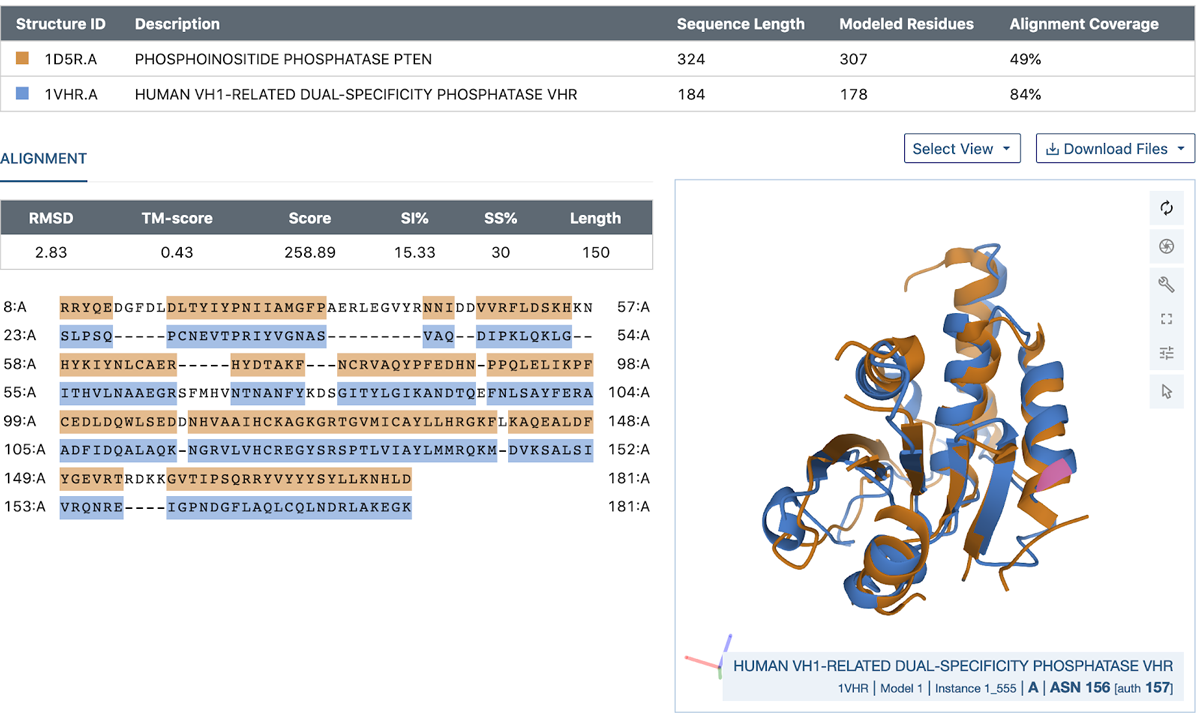 Pairwise alignment