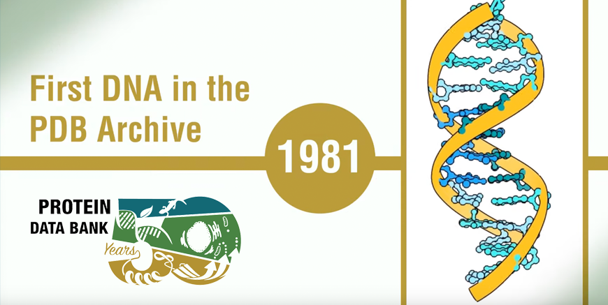 50 years of the PDB video