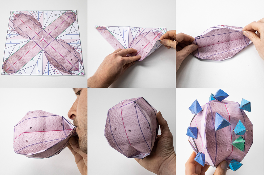 Origami COVID-19 Model