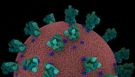 Corona virus 3D model