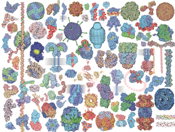 Molecule of the Month Collage