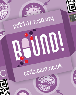 Bound! New Protein-Drug Matching Card Game from CCDC and PDB-101