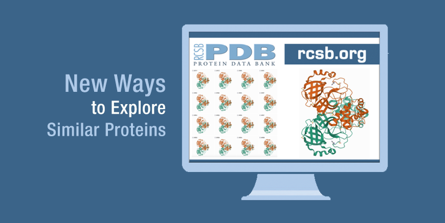 New Ways to Explore Similar Proteins on rcsb.org