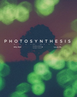 Learn about Animating Photosynthesis from artist Chris FitzGerald