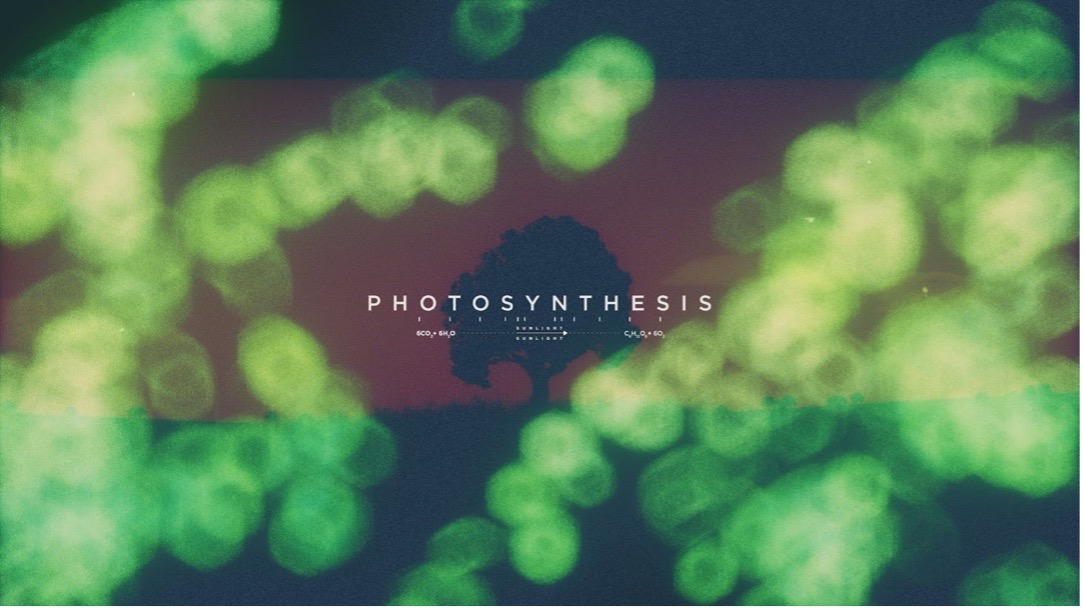 Photosynthesis video title card