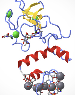 <i>Fundamentals of Biochemistry</i>: A free online biochemistry textbook with interactive molecular and mathematical modeling by Henry Jakubowski (Professor Emertius)