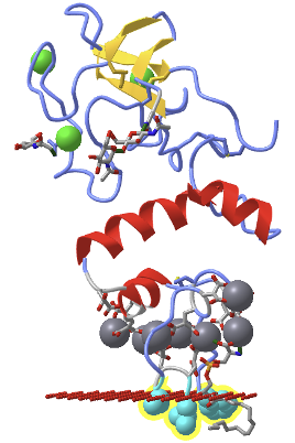 iCn3D visualization of prothrombin fragment 1