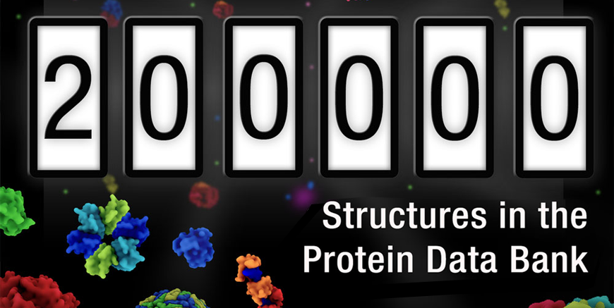 200k Structures in the PDB