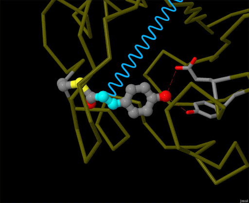 Nucleic Acid Knowledgebase logo