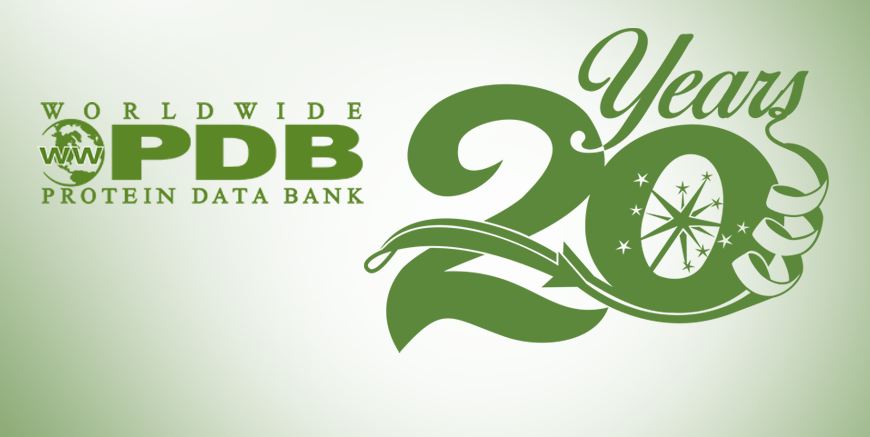 wwPDBB 20th anniversary graphic