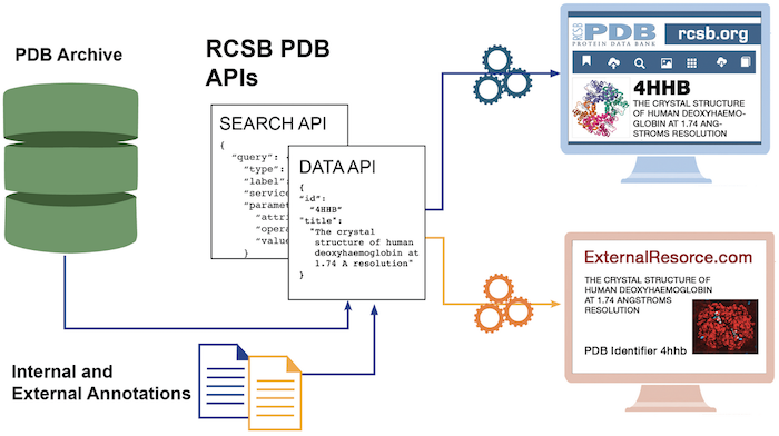 A schematic diagram showing the data flow in RCSB's API