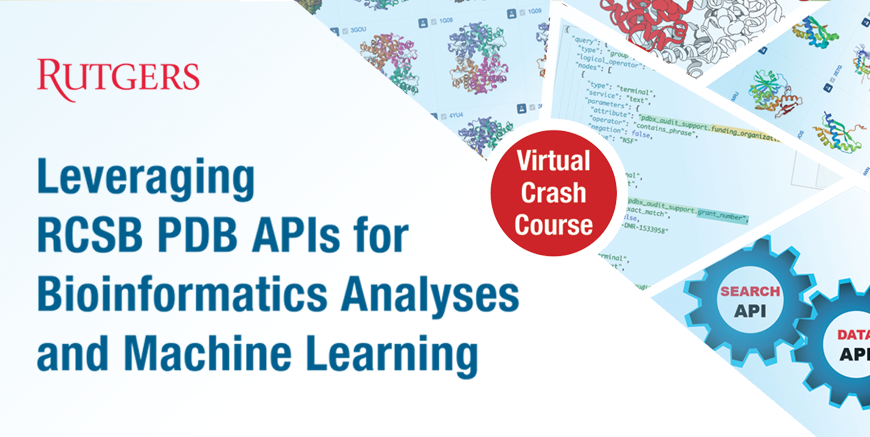 Key Visual for the Leveraging RCSB PDB APIs for Bioinformatics Analyses Course 