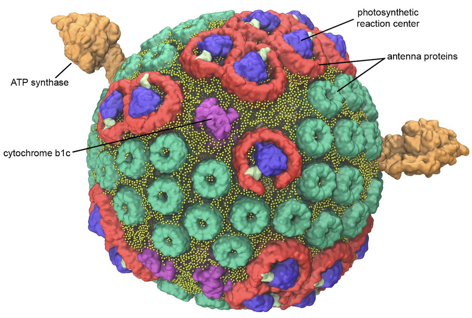 RCSB PDB Director, Stephen K. Burley on the cover of EdgeDiscovery