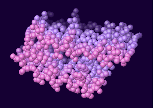Amyloid-beta precursor protein peptides in atom representation.