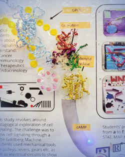 Cell Signaling through Rube Goldberg Machines, Dr. Fatahiya Kashif, Federal Medical College, Islamabad, Pakistan