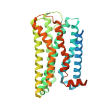 G-Protein Coupled receptor from PDB entry
