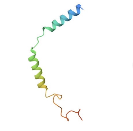 G gamma Protein from PDB entry