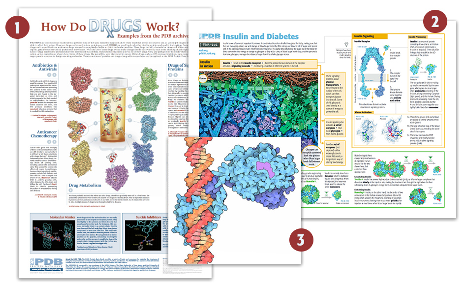 Collage of resources for the Peak Peformance PDB-101 Health Focus