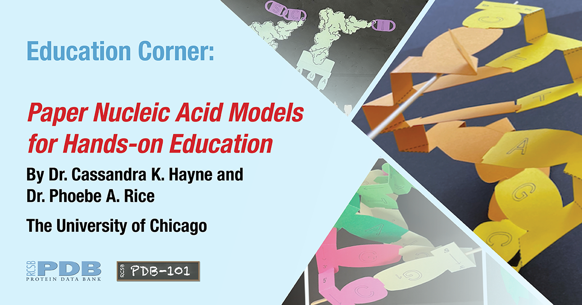 Published quarterly, each <a href="http://pdb101.rcsb.org/learn/education-corner">Education Corner</a> describes of how community members use the PDB and related resources.  <BR>Contact <a href="mailto:info@rcsb.org">info@rcsb.org</a> to contribute.