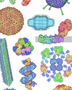 Published quarterly, each <a href="https://pdb101.rcsb.org/learn/education-corner">Education Corner</a> describes of how community members use the PDB and related resources.<BR>
Contact <A href="mailto:info@rcsb.org">info@rcsb.org</a> to contribute.