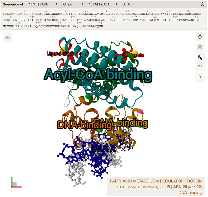 Result of Basic Protocol 2 described in Current Protocols