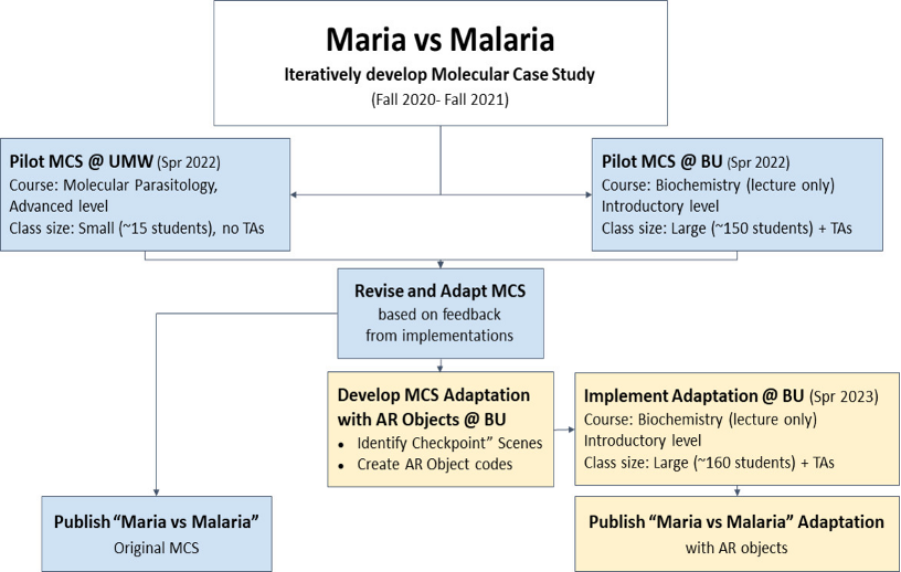 Flowchart illustrating developing molecular case study from the article Using augmented reality in molecular case studies to enhance biomolecular structure-function explorations in undergraduate classrooms