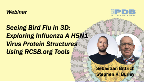 Watch The Seeing Bird Flu in 3D webinar