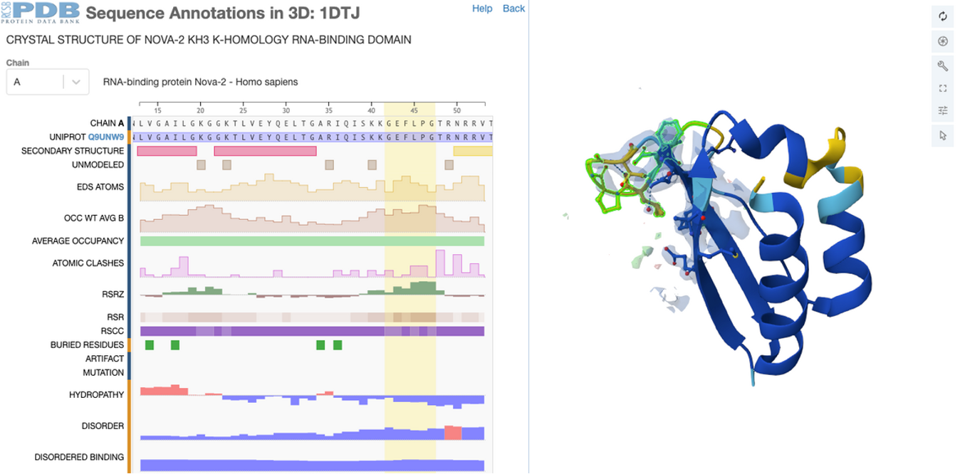 Human RNA-binding protein Nova-2 KH3 domain (PDB ID 1DTJ): most residues have good density except for a few regions as indicated by RSCC and RSRZ values mapped on sequence and RSCC-based confidence levels visualization.