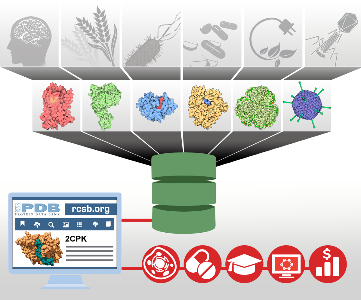 Protein data bank