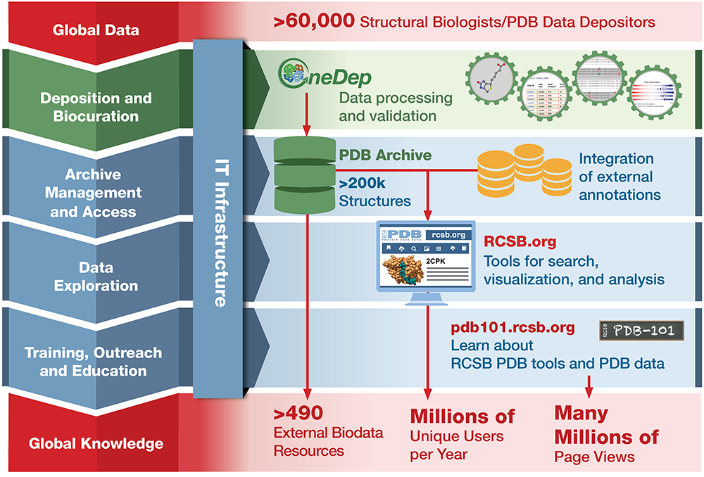 RCSB PDB: About RCSB PDB: A Living Digital Data Resource That Enables ...