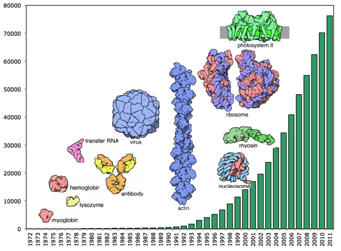 Protein data bank